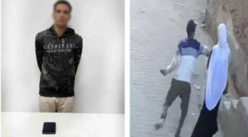 تحقيقات أسوان.. توقيف متهم بسرقة هاتف طالبة في طريق عام بجنوب مصر